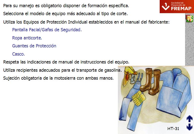 Diapositiva31
