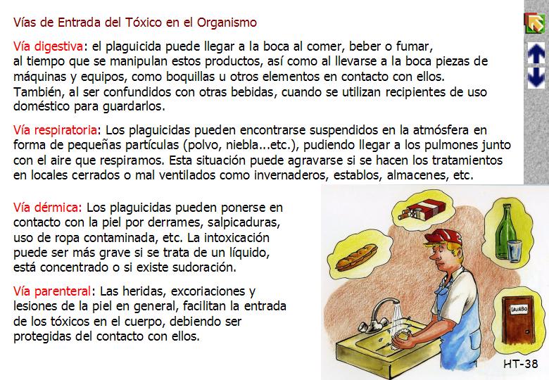 Diapositiva38