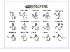 29_SeñalesManualesManiobra GRAFICOS CAD SEGURIDAD