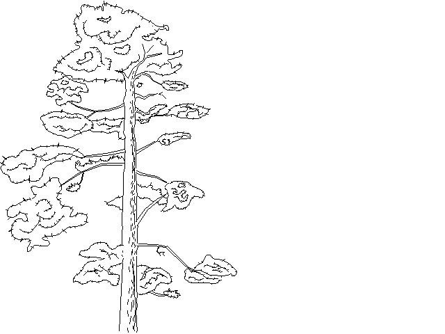 Arbol1 GRAFICOS CAD SEGURIDAD