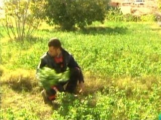 HUERTA  LEADOR BOSQUE