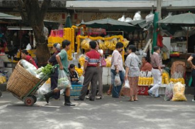 COMERCIO - CARRETILLA