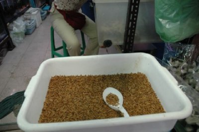 COMERCIO - ESPECIAS