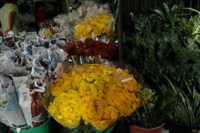 COMERCIO - FLOR