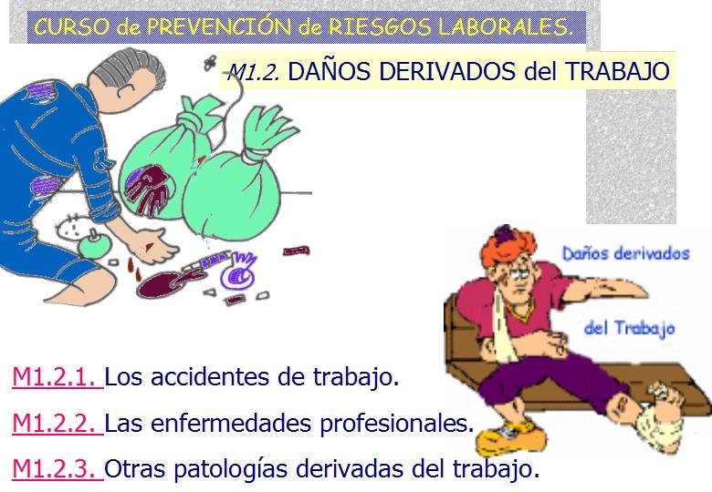 Diapositiva21