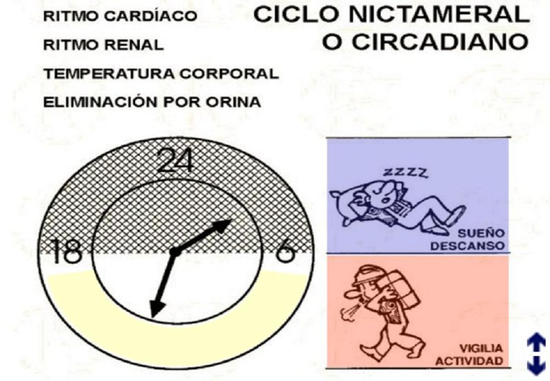 Diapositiva15