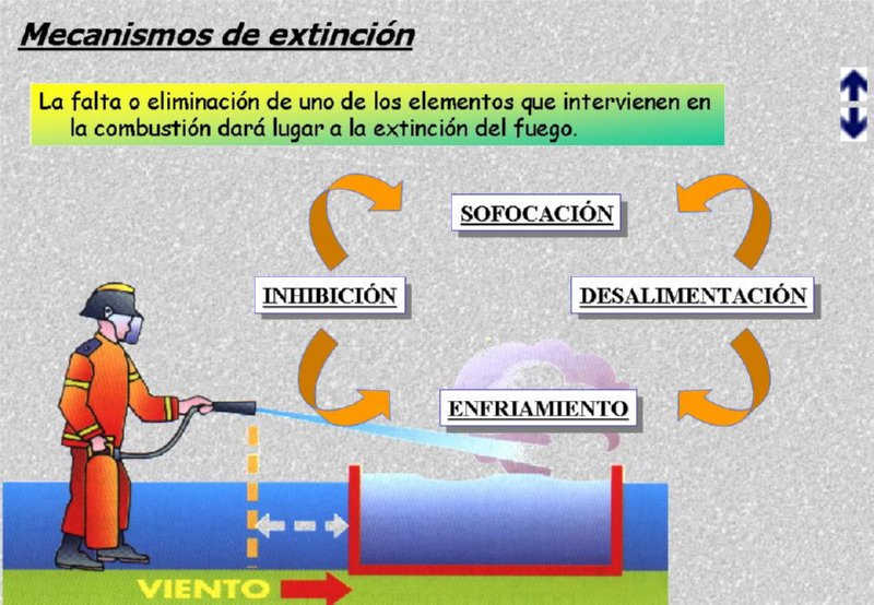 Diapositiva07