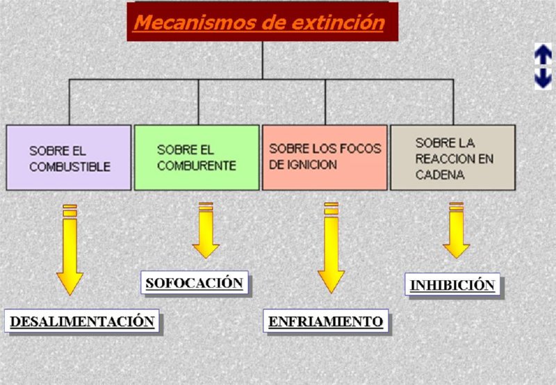 Diapositiva08