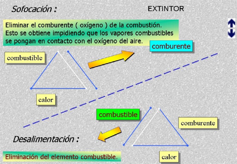 Diapositiva09