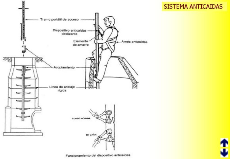 Diapositiva61