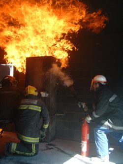 NOTAS TECNICAS de PREVENCION INSHT