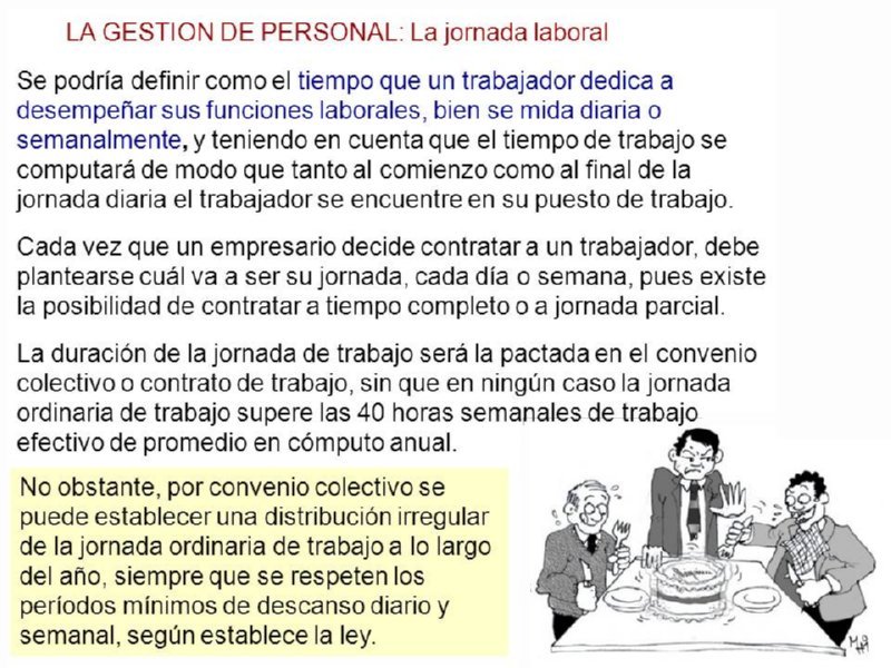 D29 JORNADA LABORAL
