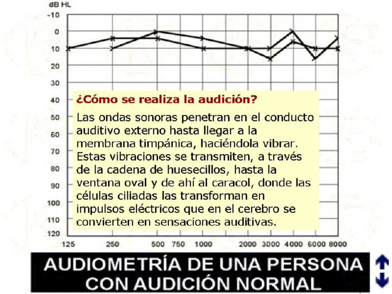 [Click to enlarge image]