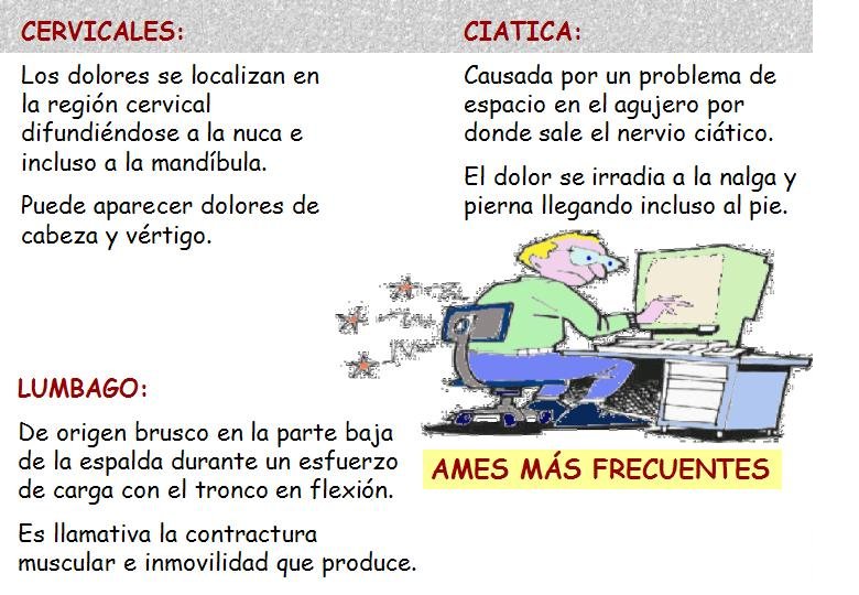 Diapositiva09