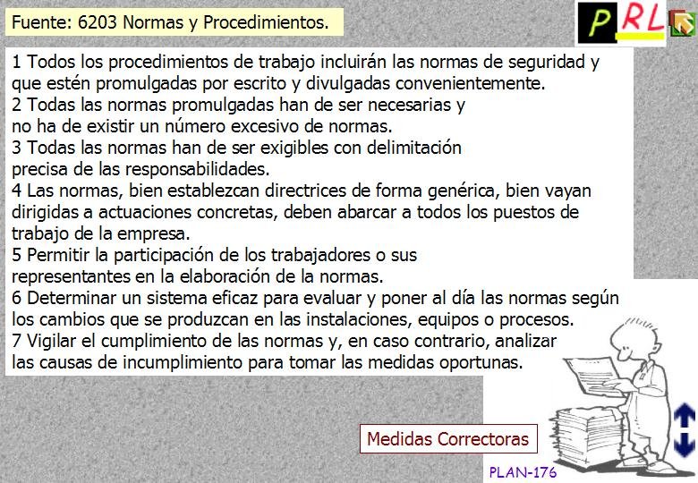 176 NORMAS PROCEDIMIENTOS