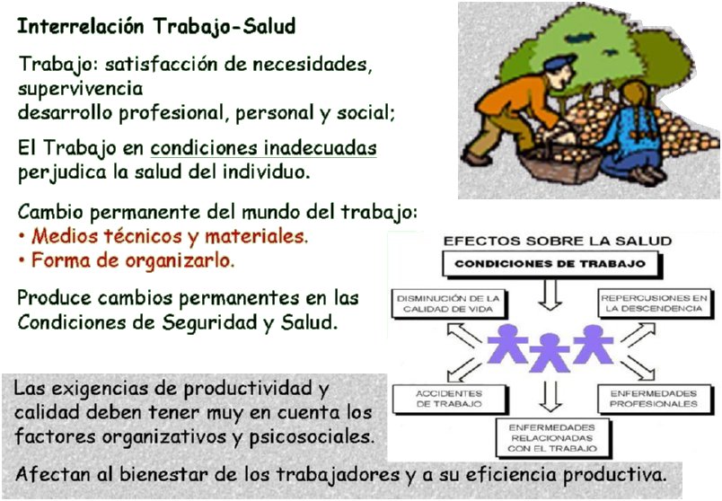 [PREVENCION RIESGOS LABORALES]