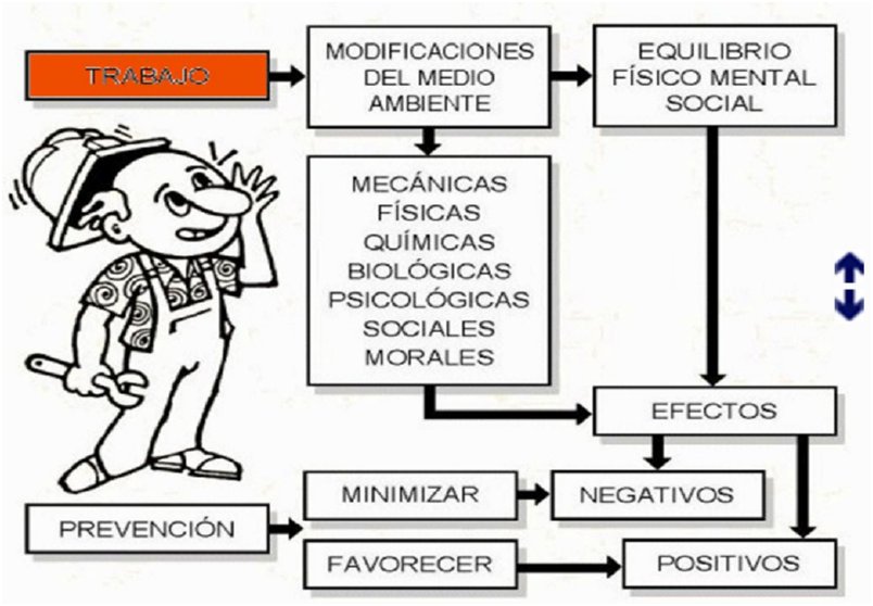 Diapositiva16