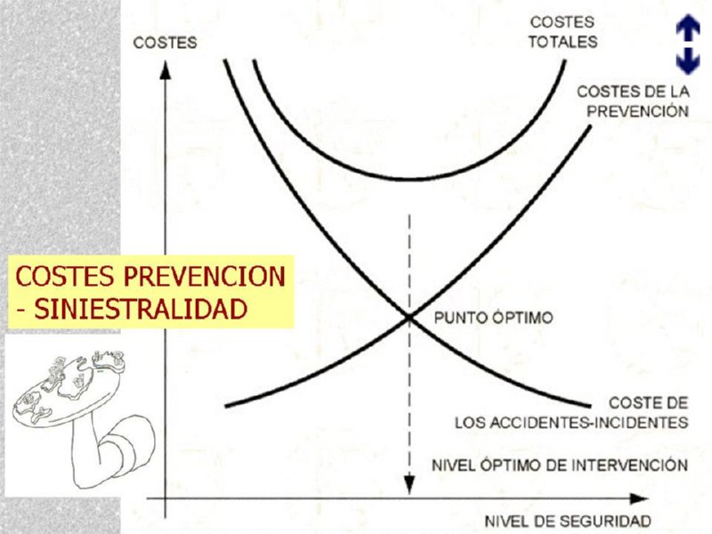 Diapositiva25