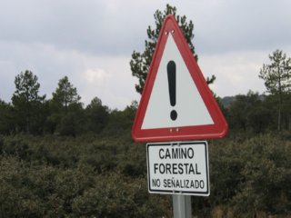 CAMINO FORESTAL  TRABAJO Y CIRCULACION