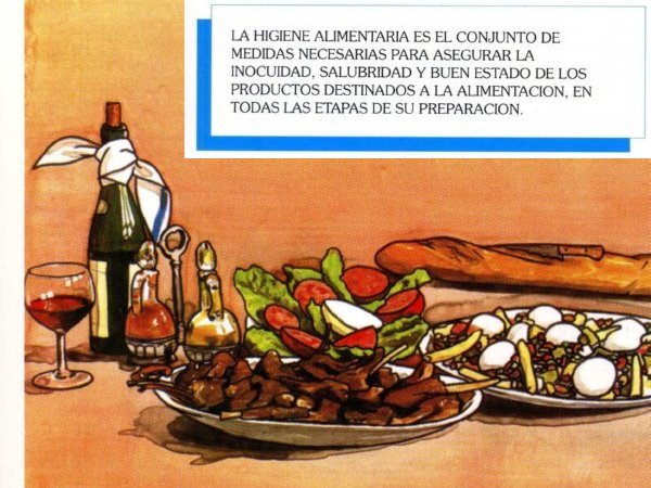 ALIMENTOS003