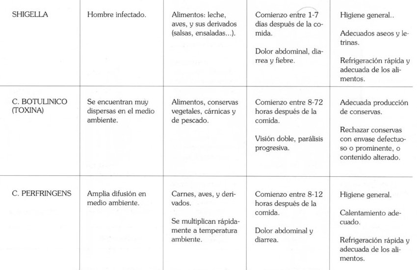 ALIMENTOS008