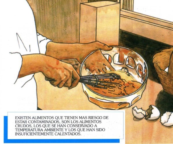 ALIMENTOS009