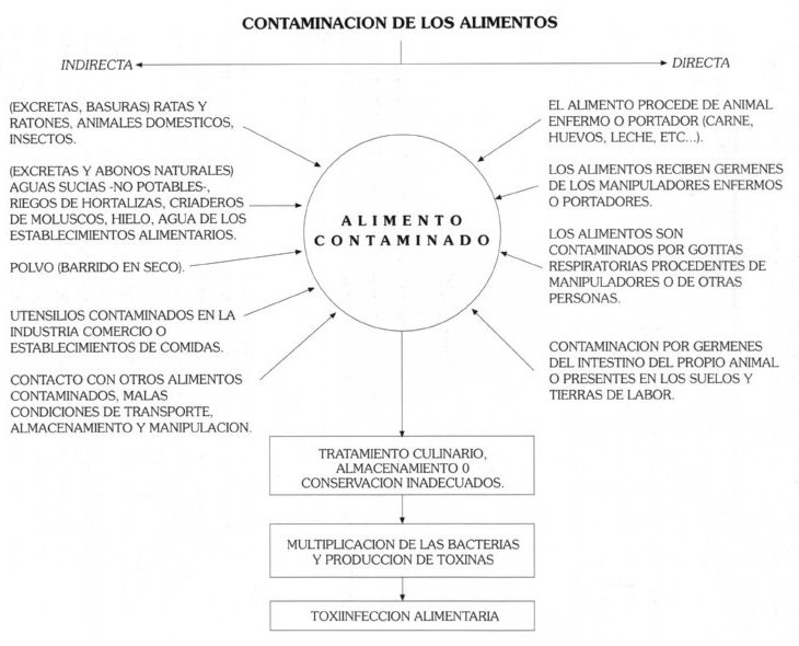 ALIMENTOS012