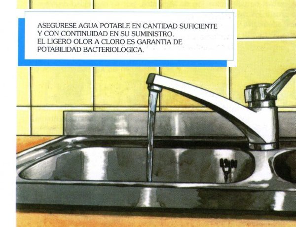 ALIMENTOS029