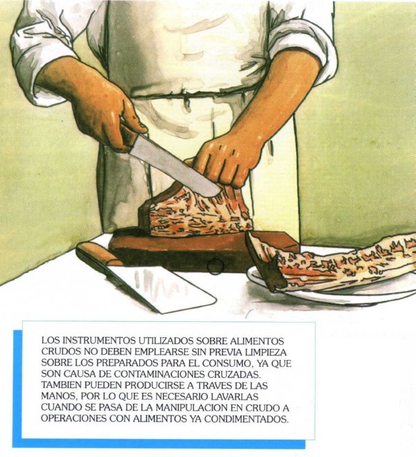 ALIMENTOS041