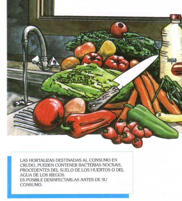 ALIMENTOS047