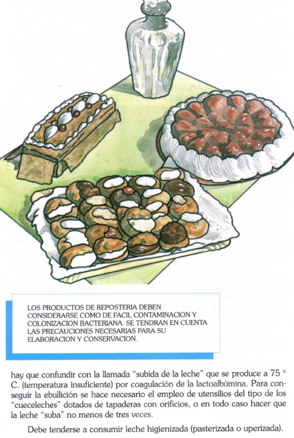 ALIMENTOS051