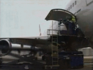 VIDEOS SWF GIF PREVENCION  Avio90