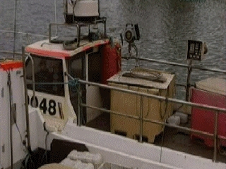 VIDEOS SWF GIF PREVENCION  BARCO