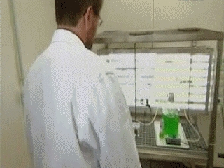 VIDEOS SWF GIF PREVENCION  LABORATORIO